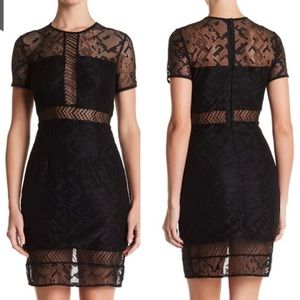 Bailey 44 Want To Be Lace Dress MEDIUM